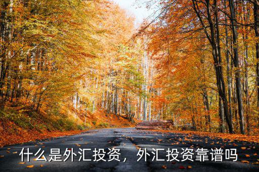 什么是外匯投資，外匯投資靠譜嗎