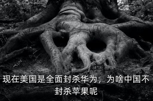 現(xiàn)在美國是全面封殺華為，為啥中國不封殺蘋果呢