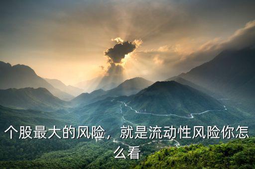 流動性風(fēng)險是什么,就是流動性風(fēng)險。你怎么看