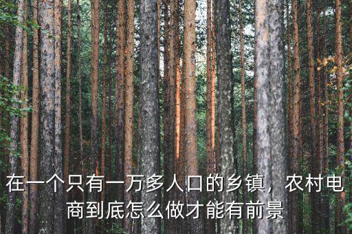在一個只有一萬多人口的鄉(xiāng)鎮(zhèn)，農(nóng)村電商到底怎么做才能有前景