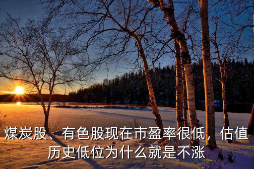煤炭股、有色股現(xiàn)在市盈率很低，估值歷史低位為什么就是不漲