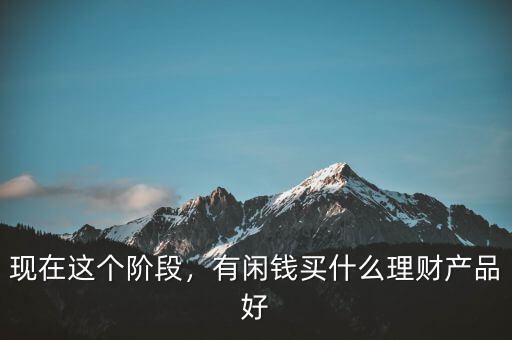 現(xiàn)在這個階段，有閑錢買什么理財產(chǎn)品好