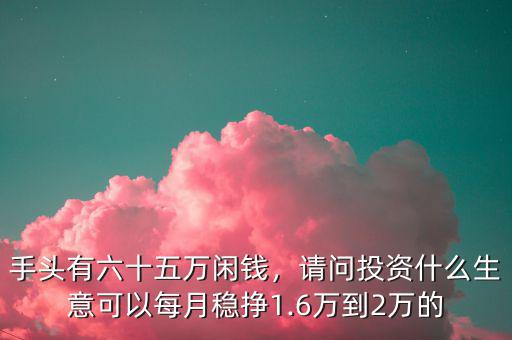 手頭有六十五萬(wàn)閑錢(qián)，請(qǐng)問(wèn)投資什么生意可以每月穩(wěn)掙1.6萬(wàn)到2萬(wàn)的