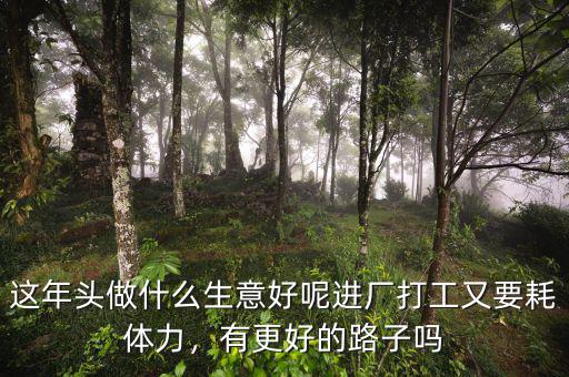 這年頭做什么生意好呢進(jìn)廠(chǎng)打工又要耗體力，有更好的路子嗎