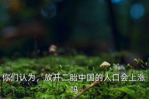 你們認(rèn)為，放開(kāi)二胎中國(guó)的人口會(huì)上漲嗎