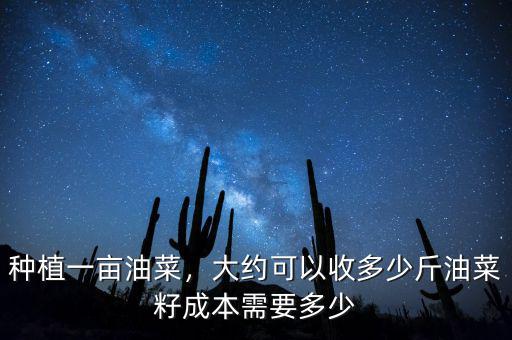 畝產油菜仔多少,種植一畝油菜