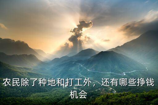 農(nóng)民除了種地和打工外，還有哪些掙錢(qián)機(jī)會(huì)