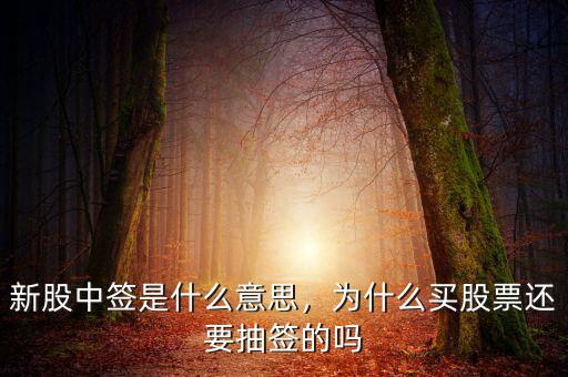 新股中簽是什么意思，為什么買股票還要抽簽的嗎