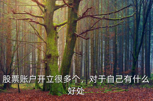 股票賬戶開立很多個，對于自己有什么好處