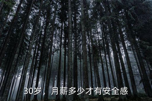 30歲，月薪多少才有安全感