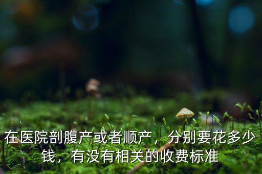 在醫(yī)院剖腹產(chǎn)或者順產(chǎn)，分別要花多少錢，有沒有相關(guān)的收費(fèi)標(biāo)準(zhǔn)