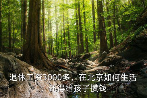 退休工資3000多，在北京如何生活，還得給孩子攢錢
