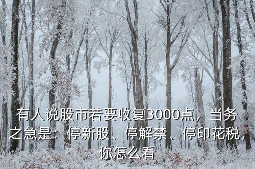 有人說(shuō)股市若要收復(fù)3000點(diǎn)，當(dāng)務(wù)之急是：停新股、停解禁、停印花稅，你怎么看