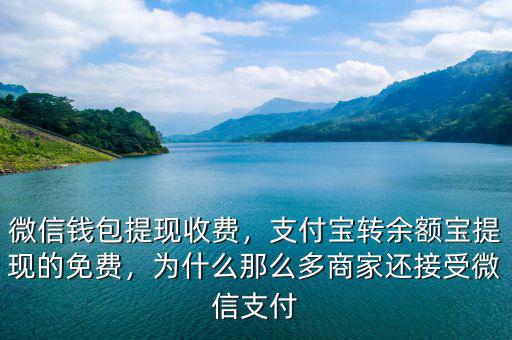 微信錢包提現(xiàn)收費，支付寶轉(zhuǎn)余額寶提現(xiàn)的免費，為什么那么多商家還接受微信支付