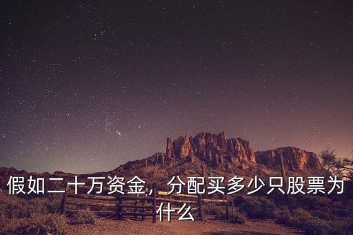 假如二十萬資金，分配買多少只股票為什么