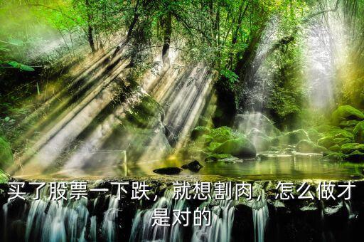 買了股票一下跌，就想割肉，怎么做才是對的