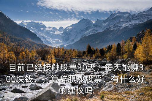 目前已經接觸股票30天，每天能賺300塊錢，打算辭職炒股票，有什么好的建議嗎