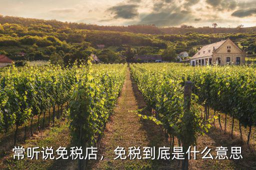 常聽(tīng)說(shuō)免稅店，免稅到底是什么意思