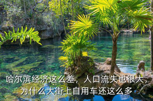 哈爾濱經(jīng)濟(jì)這么差，人口流失也很大，為什么大街上自用車還這么多