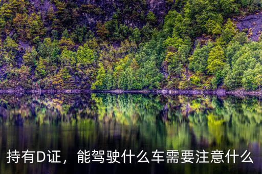 持有D證，能駕駛什么車需要注意什么