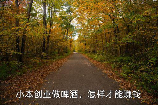 小本創(chuàng)業(yè)做啤酒，怎樣才能賺錢