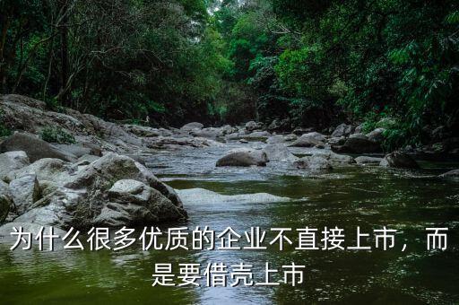 為什么很多優(yōu)質(zhì)的企業(yè)不直接上市，而是要借殼上市