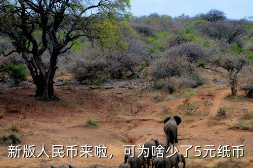 新版人民幣來啦，可為啥少了5元紙幣