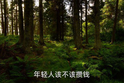 年輕人怎么攢錢(qián),年輕人工薪階層怎么攢錢(qián)