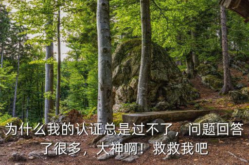 為什么我的認(rèn)證總是過不了，問題回答了很多，大神?。【染任野? class=
