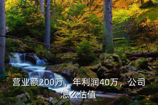 營(yíng)業(yè)額200萬，年利潤(rùn)40萬，公司怎么估值