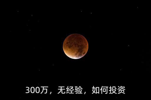 300萬(wàn)，無(wú)經(jīng)驗(yàn)，如何投資