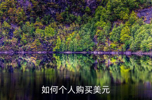 如何個(gè)人購(gòu)買(mǎi)美元