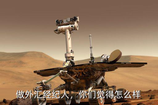 做外匯經紀人，你們覺得怎么樣