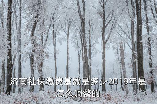 濟(jì)南社?；鶖?shù)怎么算,2019年是怎么調(diào)整的