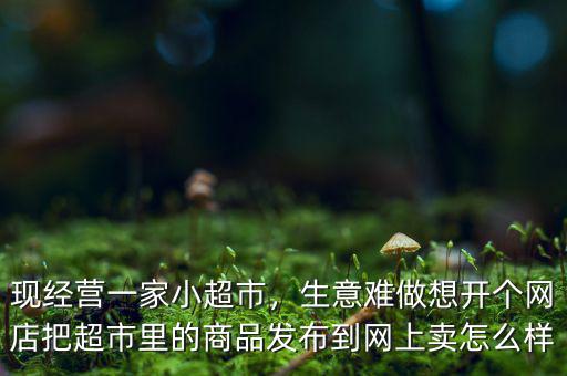 現(xiàn)經(jīng)營一家小超市，生意難做想開個網(wǎng)店把超市里的商品發(fā)布到網(wǎng)上賣怎么樣