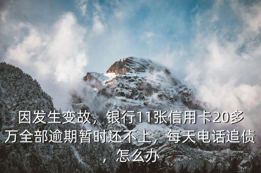 因發(fā)生變故，銀行11張信用卡20多萬全部逾期暫時還不上，每天電話追債，怎么辦