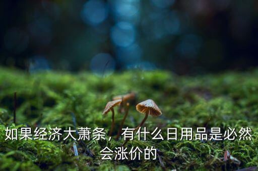 如果經(jīng)濟(jì)大蕭條，有什么日用品是必然會(huì)漲價(jià)的