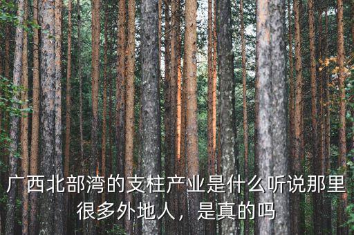 廣西北部灣的支柱產(chǎn)業(yè)是什么聽說那里很多外地人，是真的嗎