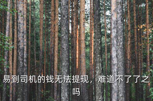 易到用車(chē)提司機(jī)多少點(diǎn),易到司機(jī)的錢(qián)無(wú)法提現(xiàn)