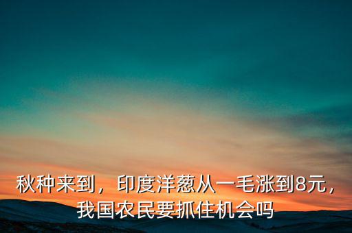 秋種來到，印度洋蔥從一毛漲到8元，我國農(nóng)民要抓住機會嗎