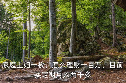 家庭主婦一枚，怎么理財(cái)一百萬，目前買定期月入兩千多