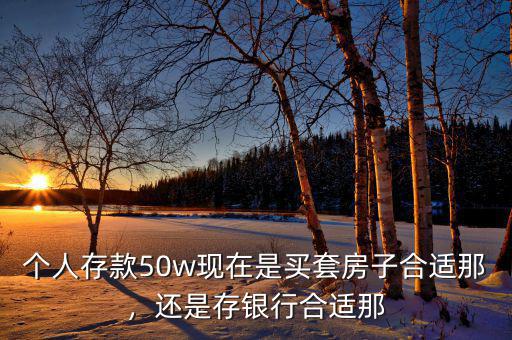 個(gè)人存款50w現(xiàn)在是買套房子合適那，還是存銀行合適那