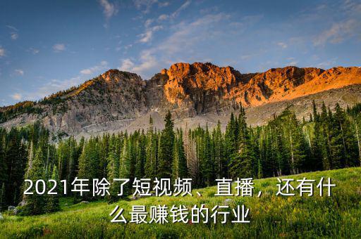 2021年除了短視頻、直播，還有什么最賺錢(qián)的行業(yè)