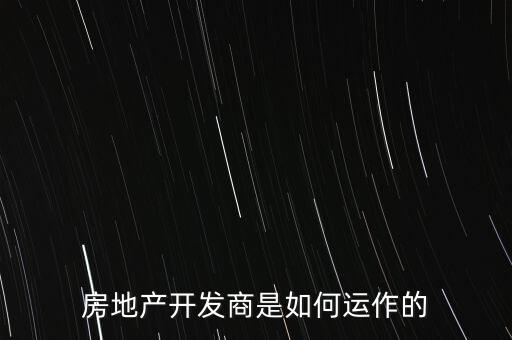 房地產(chǎn)開發(fā)商怎么盈利,房地產(chǎn)開發(fā)商是如何運(yùn)作的