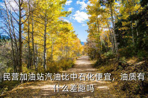 民營加油站汽油比中石化便宜，油質(zhì)有什么差距嗎