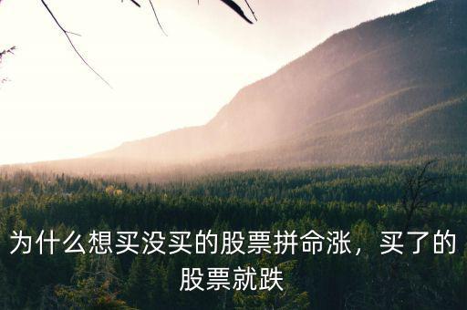 股票為什么沒人買還會(huì)跌,為什么想買沒買的股票拼命漲