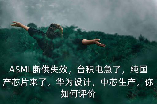 ASML斷供失效，臺積電急了，純國產(chǎn)芯片來了，華為設(shè)計(jì)，中芯生產(chǎn)，你如何評價