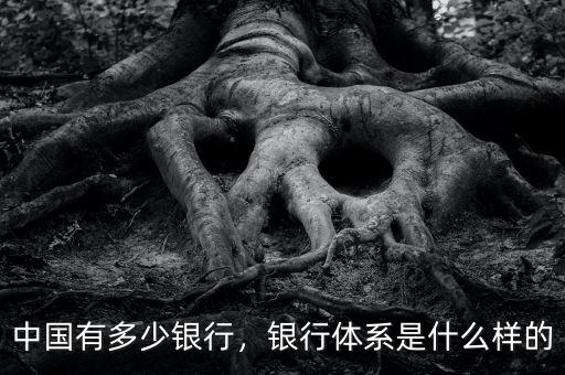 中國(guó)有多少銀行，銀行體系是什么樣的