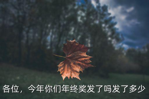 各位，今年你們年終獎發(fā)了嗎發(fā)了多少