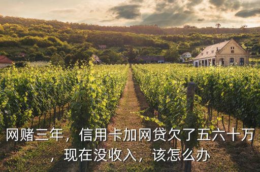 網賭三年，信用卡加網貸欠了五六十萬，現在沒收入，該怎么辦